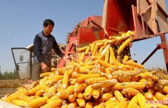 ���������֡�����æ