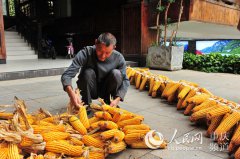 ��������ʮһ���ƽ��ܹ�̲�������㡰ɹ�