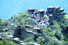 ��ɽ������Ʊ����̬�ñ��� ���θ�����