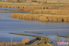 �½������ɿ��к���ɫ����