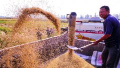 ɽ������¶ʱ��ũ��æ