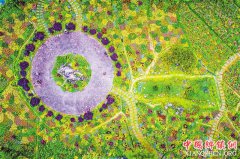 Ѥ������