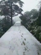 ����ɽӭ�������׳�ѩ �����������⡰��次�