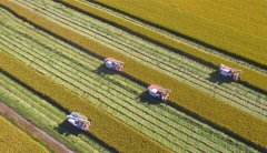 ɽ��۰�ǣ����ɷ�ˮ����ϲ����