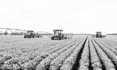 ��е�������ҹ��󶹲�ҵͻΧ