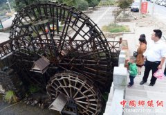 ���ݸ�������̬�����������