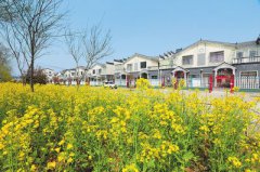 ������彨��Ϊ�������������