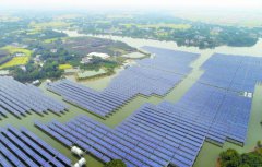 ��ɫ���������