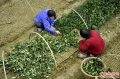 ������ʩ����ũ����æ