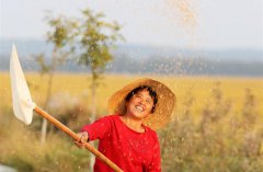 ��ɫ���յ�Ʈ��