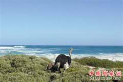 ��������ں������ѳ��μ�