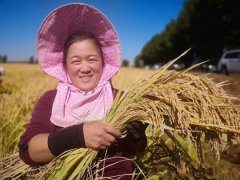 ������ʳ�գ�ר�ҹ��������˰��ˡ��׽���Ƭ��