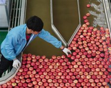 ƻ������������ ��������ֵ