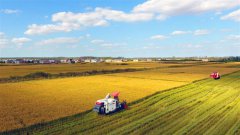 �ջ��ڽ���