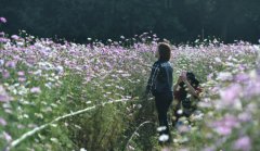 �����˹�ʯ��ǧĶ��˹�ա�������������