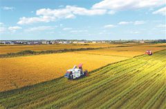 ����ʱ�� ���ո���ϲӭ����