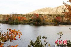 ����˪�����������ͺ�Ҷ ���ǿ�ʼ��������