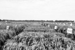 Ѱ���ƽ�ˮ����������ġ�Կ�ס�