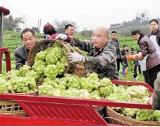 ���꣺ֻ�����������ͷ ���������11��Ԫ