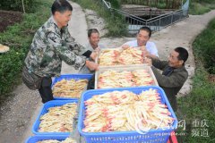 ��ƽ��������������ֵ����Ԫ