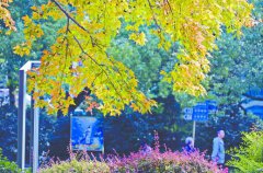 ˪��ʱ������Ũ