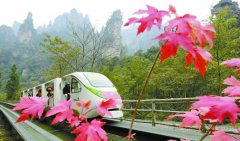 ���Ⱦ��������