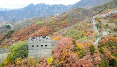 ��Ⱦ����