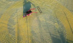 ����æũ��