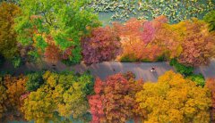 ���ڽ���