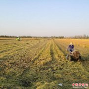 ���գ���Զ����������ձ��֡�������ȿ�