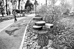 ������δ����������ɭ��ʪ��100��Ķ