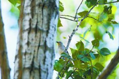 ҰѼ����������18��