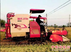 �γ��ζ��ƽ������ջ��� һƬ��æ����