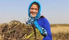 ���ﵾ����