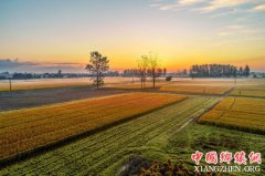 �γ�ͤ���������峿����ϼε ����������