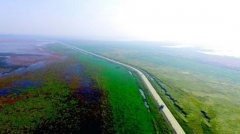 �������ޣ�ޤ�ӻ���ӭ����