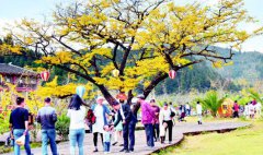 ���������������˷�������