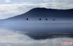 ɽ���ٳɣ����������续