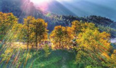 ����ġ�ͯ����