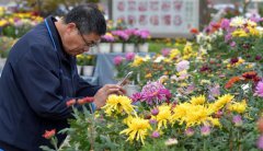 �����ϲ��������;�����ʱ