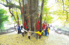 ��˳����������ӭԶ��