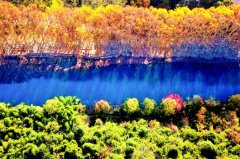 �ƽ������续