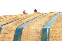 �������� ���ն��ũ������Խ��ũ����������