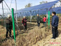 ���������򣺴弶�����վ�����弯�徭�÷�չ֮·