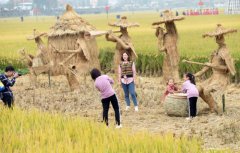 �㽭��������ɫ�������Ũ