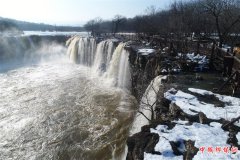 ������ĵ�������������ֶ������ٲ�