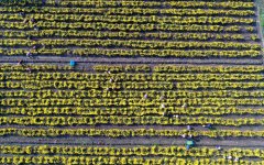 �㽭���ˣ���Ⱥ����ӭ����