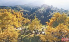 ������ҵ������Դ����̬