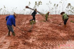 ���ݽ�������׼�ල�����������