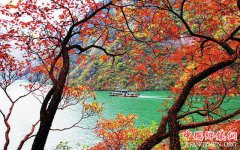 ��ɽ�����ʺ�Ҷ�ڽ��տ�Ļ